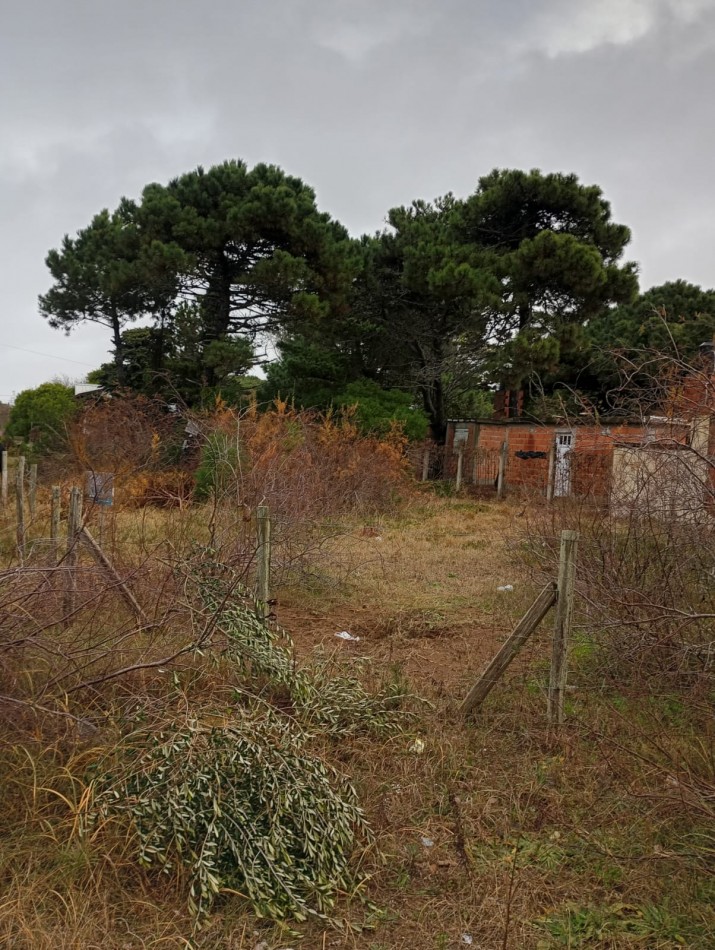 LOTE EN NUEVA ATLANTIS. 