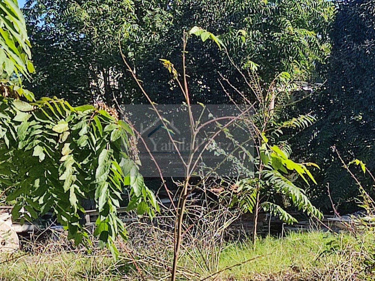 Lote en venta en Ostende, a pocas cuadras del mar. Pinamar.