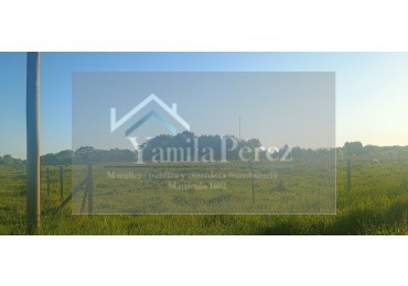 LOTE de 2812m2. Paraje Pavon. 