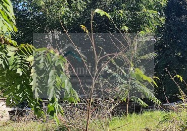 Lote en venta en Ostende, a pocas cuadras del mar. Pinamar.